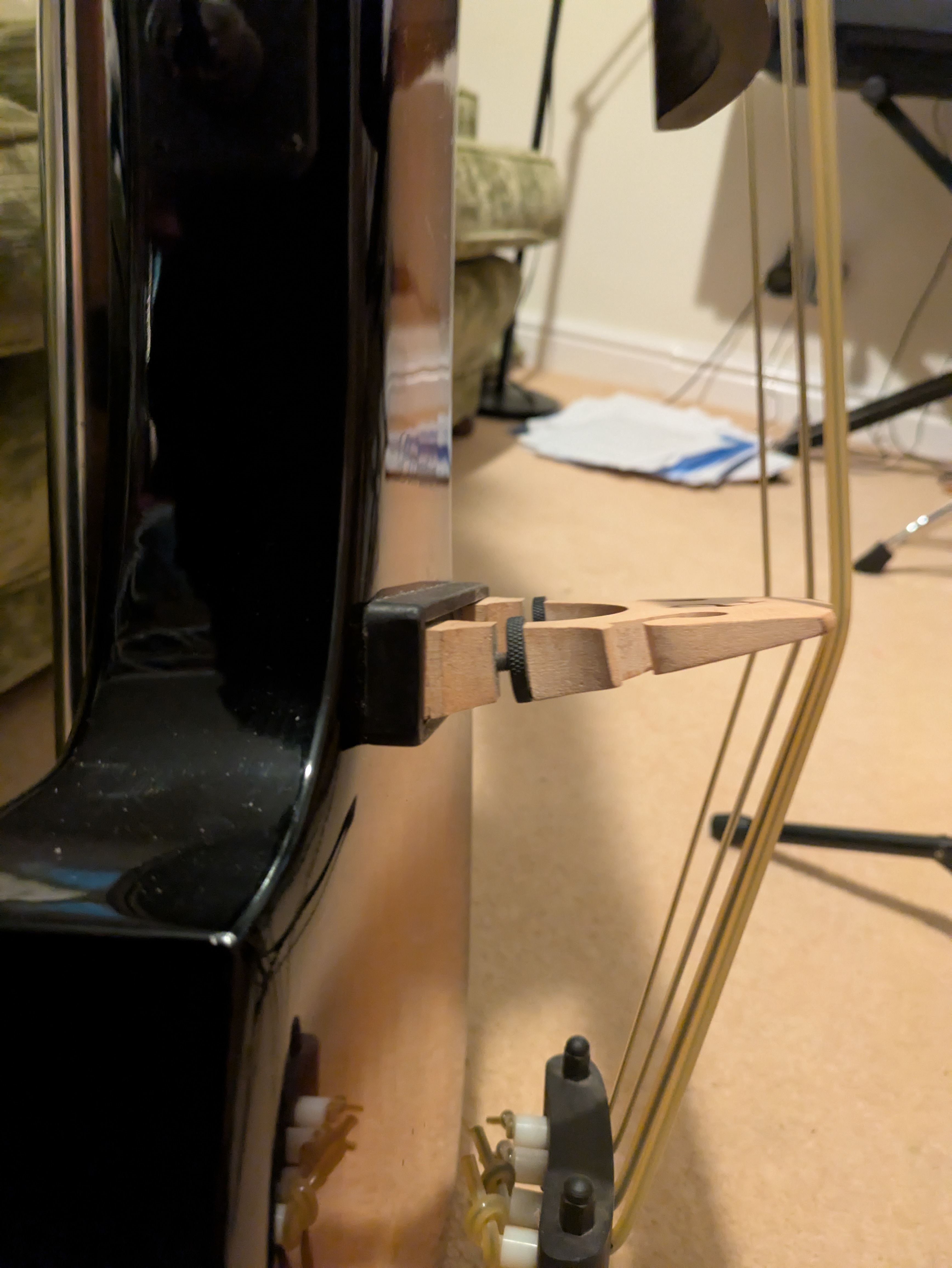 Palatino Electric Upright Bass | Martin's Blog