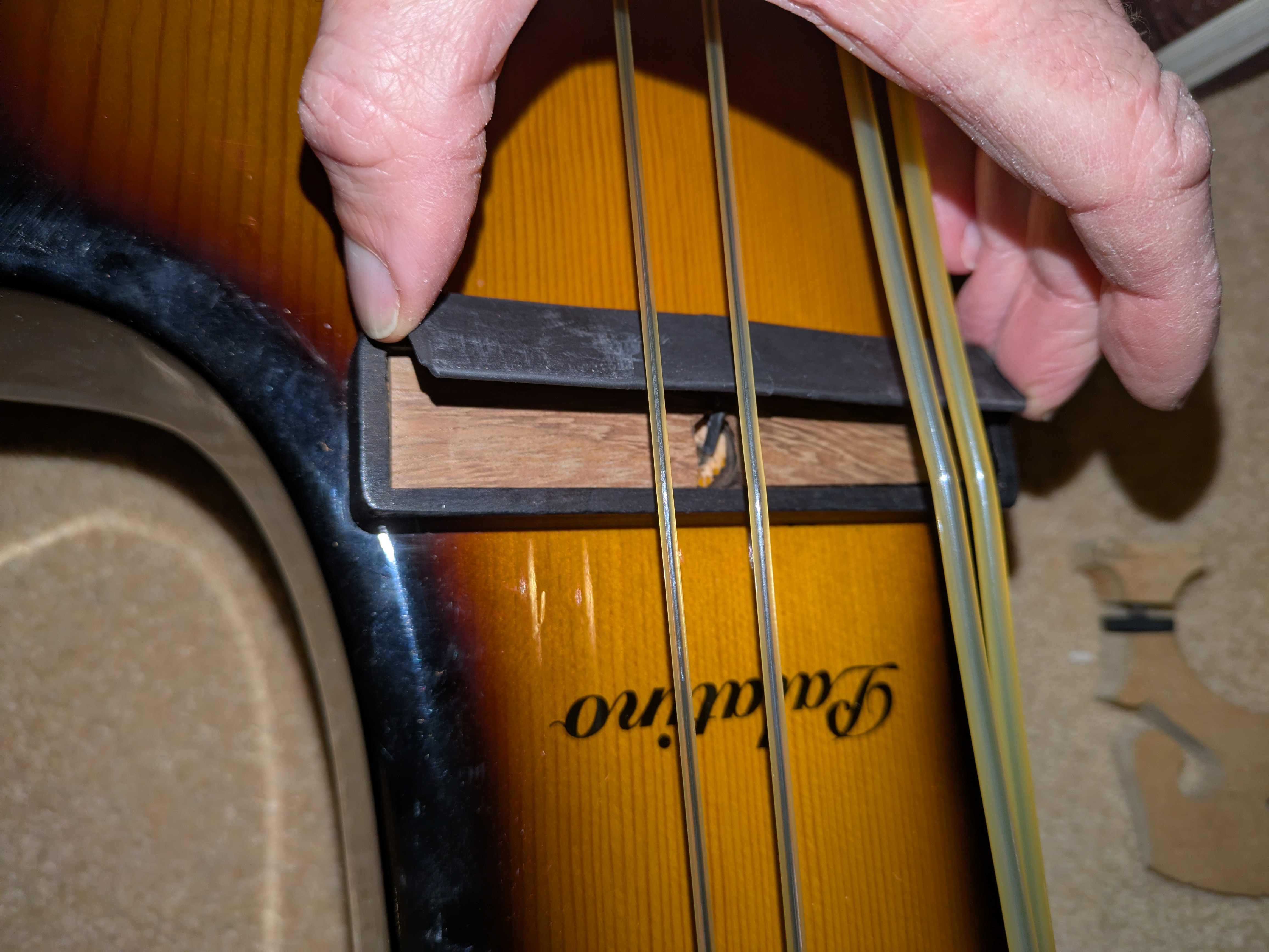 Palatino Electric Upright Bass | Martin's Blog