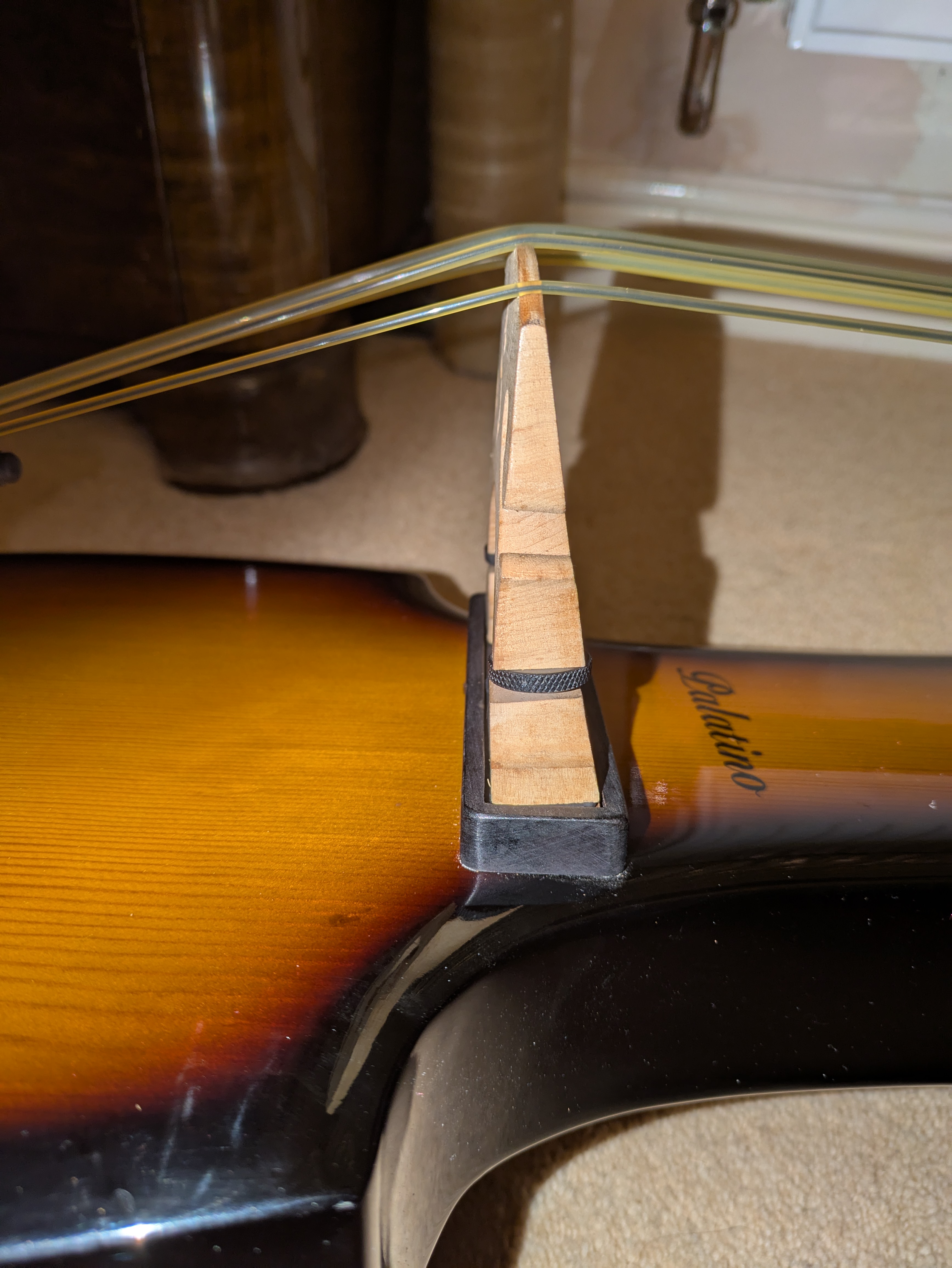 Palatino Electric Upright Bass | Martin's Blog